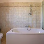 Paradis 6 * Juršići