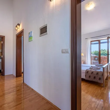 Paradis 6 * Juršići